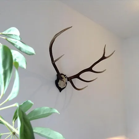 Wanderlust Apartmán Bad Harzburg