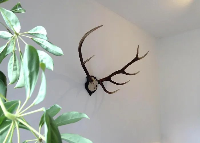 Wanderlust 아파트 바트하르추부르크